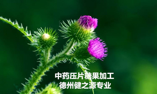 哪里有專(zhuān)業(yè)的壓片糖果加工廠(chǎng)_德州健之源牡蠣壓片糖果